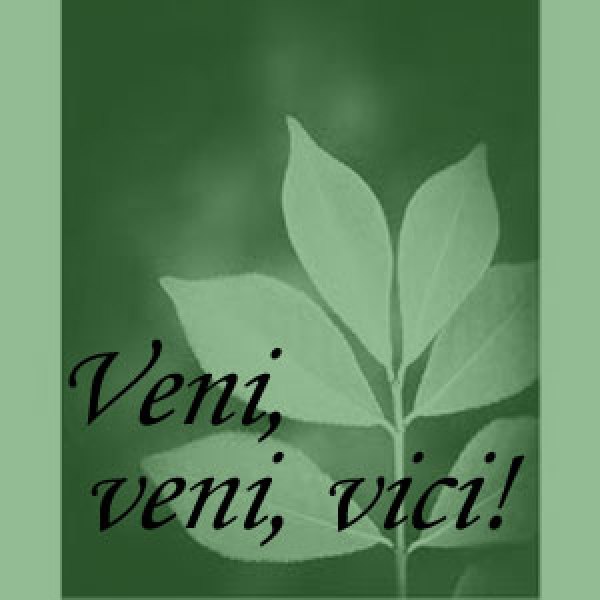 Veni-Saying2